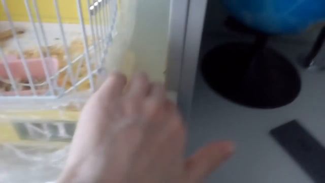 -_-Мои хомячки -_- смотреть онлайн