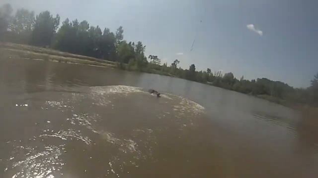 Cable park смотреть онлайн