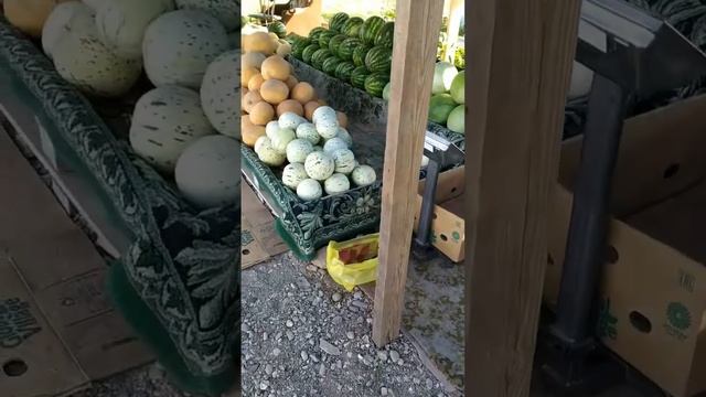 Соль-Илецк. Арбузный рынок, сорта. Август, 2023 год смотреть онлайн