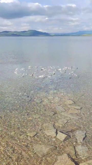 #Путешествия по России 🌏 #Хакасия прекрасна ❤️ смотреть онлайн