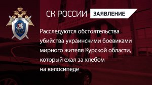 Расследуются обстоятельства убийства украинскими боевиками мирного жителя Курской области