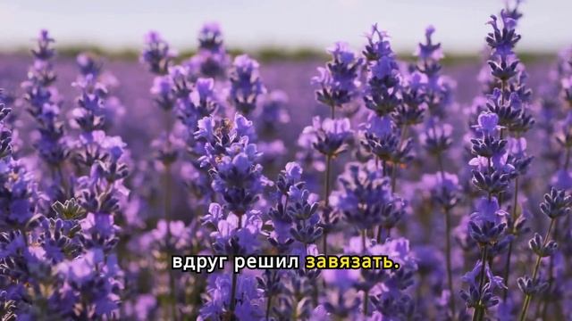 Родители бухали всё мое детство сейчас уже не пьют но пытаются учить жизни...