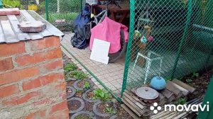 26 апреля