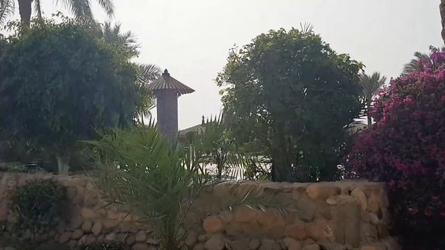 Египет Бассейн отеля Queen Sharm Resort Egypt Beach Hotel Queen Sharm Resort смотреть онлайн