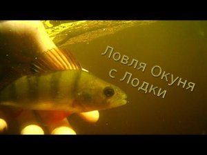 Ловля Окуня с Лодки.Крупный Окунь.Щука на Червя.