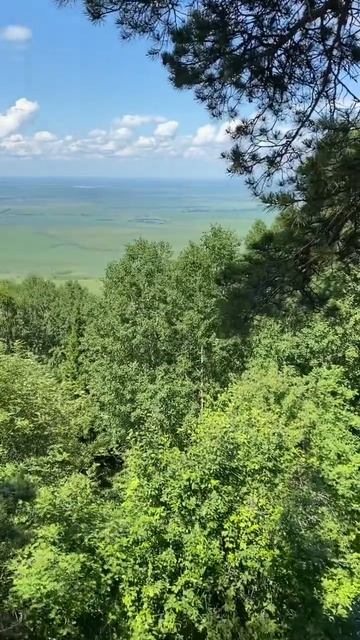Город-курорт Белокуриха🏞️🫶 #декрет#дети#семья#материнство#лето#алтай#любовь#природа#shorts#