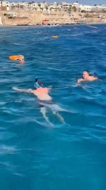 Sierra hotel. Egypt. Red Sea. Sharm el Sheikh. Египет. Отель Сиерра. Шарм эль Шейх #egypt #red_sea смотреть онлайн