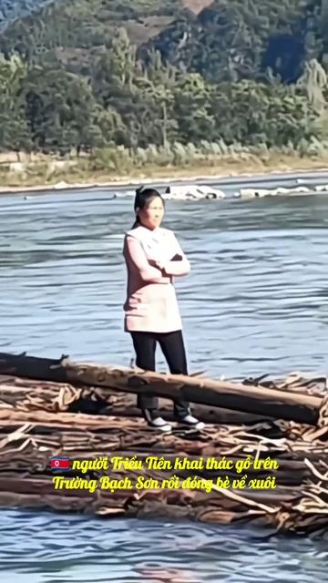 🇰🇵 DPRK Logging on Mt Paektu and floating the logs down the Amnok river🪵