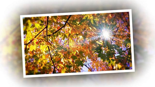 А листочек с березки упал смотреть онлайн