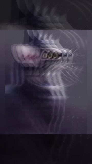 серая кошка ( песня гречка мартини) смотреть онлайн