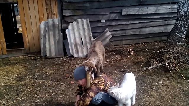 Массажистка 80 уровня. смотреть онлайн