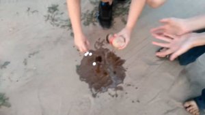 Эксперименты Coca Cola с ментосом