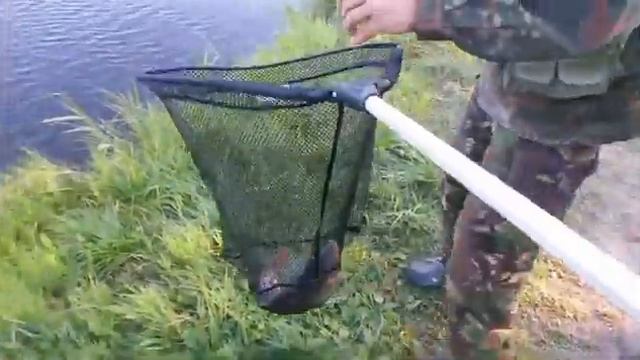 2014 Волма. Крупный карп клюет. смотреть онлайн