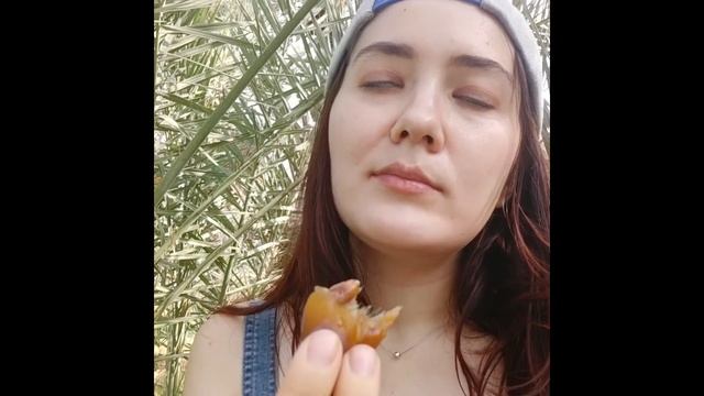 ОАЭ, Фуджейра. Путешествие во время COVID / UAE, Fujairah. Traveling during COVID смотреть онлайн