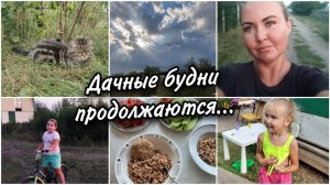 Мы всё ещё отдыхаем на дачеЧем занимаемся и что готовим. Лето заканчивается☺