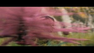 Хищник: Пустоши - Трейлер (2025)