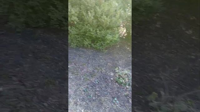 7 марта 2024 г. смотреть онлайн