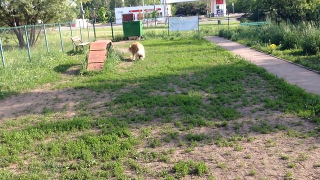 30 мая 2016 г. смотреть онлайн