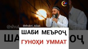 Шаби меъроч