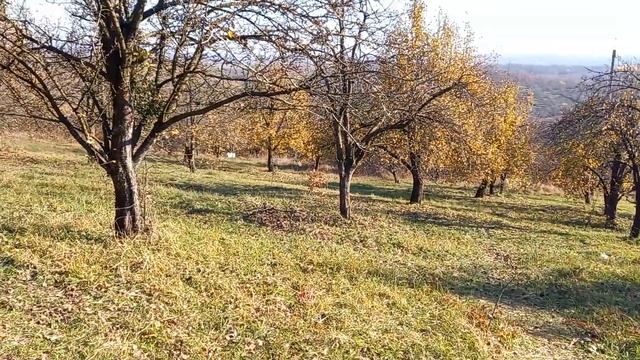 17.11.2022 г Нальчик Кабардино Балкария Сосуроко формат 4 к смотреть онлайн