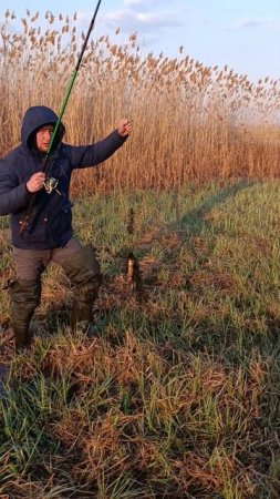 закрываем весенний сезон по карасю #fishing #рыбалка #фидернаяловля #карась
