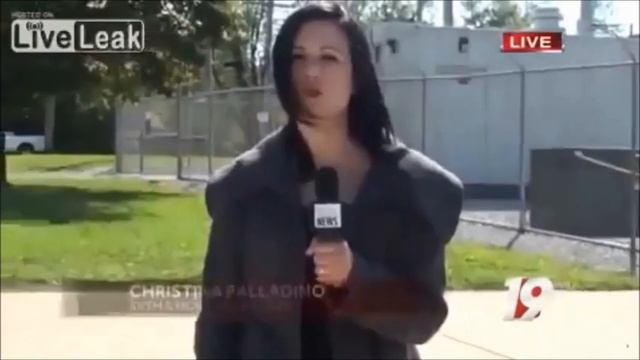 Fred (Fuck her right in the pussy guy) Compilation all 6 videos смотреть онлайн