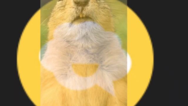 Некоторые каналы + ШИЗА = смотреть онлайн