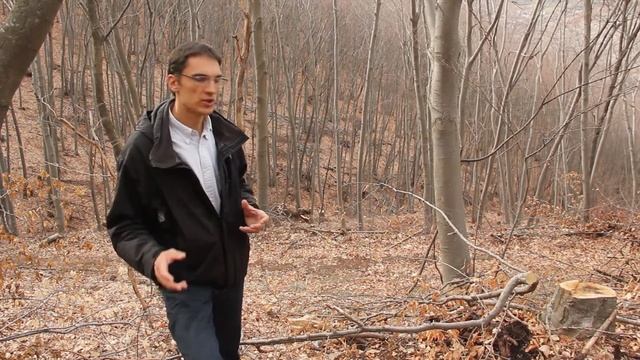 Четвърта, брутална, незаконна сеч и прекарване на незаконен път в природен парк Витоша - Част 1 смотреть онлайн