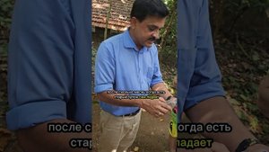 Что покажут на экскурсиях по Шри-Ланке. Сад специй.