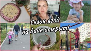 Первый велосипед.На дачу за ягодамиМой вечер готовки. Про ногти.