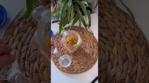 Как приготовить острый ферментированный соус. Кисло-сладкий соус из острого перца.