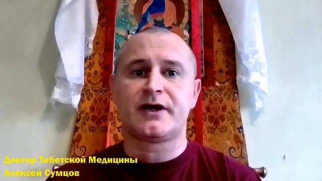 Видео очерк №23 02 21. О фруктах. смотреть онлайн