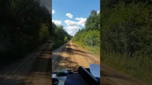 Красота. ЛАЖБОРОВИЦА. Вохма
