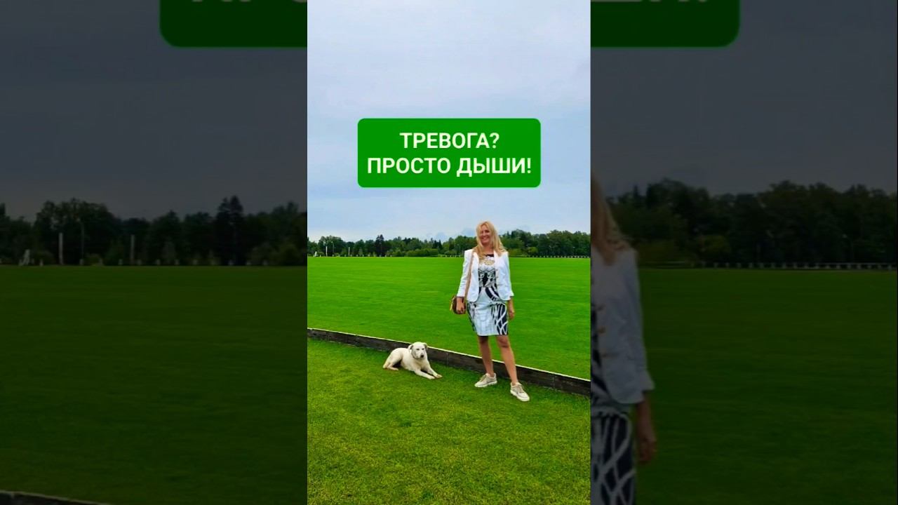 Дыхательная практика для снятия тревожности #дыхание #тревога #пранаяма #дыхательнаягимнастика