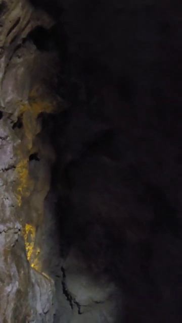 Национальный музей Природы Grigore Antipa National Museum of Natural History Бухарест Румыния