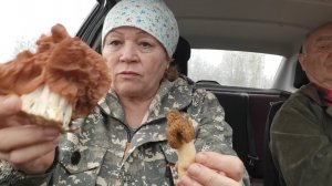 Торговля на трассе, продаю грибы // закрою канал😏// салат с авокадо 🥑//