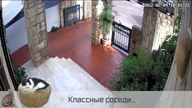 Отличные у нас соседи, ага :-( смотреть онлайн