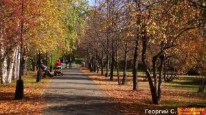 Тюмень осень парки
