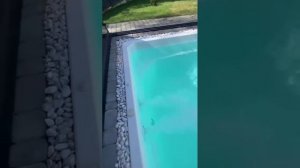 Берем на заметку🥎

Планируете строительство бассейна?

Здесь всё сделано на высшем уровне!