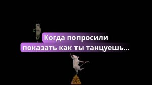 МЕМ с танцующей мышью 🤭 Когда попросили показать как ты танцуешь...