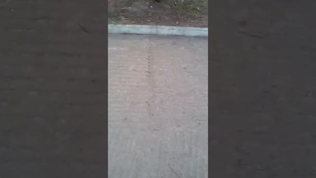 Влог я гуляю с сестрами , и светящимся оленями смотреть онлайн