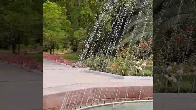 #сочи приморский#санаторийсочи#сочи#сочиприморский#сочи#жара