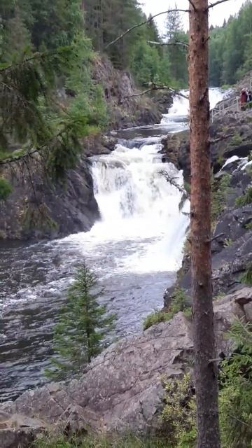 Карелия. Водопад Кивач. смотреть онлайн