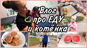 Влог/ЗАБРАЛИ ЗАКАЗ С OZON. ВПЕРВЫЕ ИСКУПАЛИ КОТЁНКА. МИНИ ПИКНИК В ЛЕСУ. ГОТОВЛЮ ШАУРМУ ПО ДОМАШНЕМУ