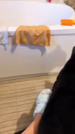 Privacy No, no, no if you have a cat. #собаки #кошки #приколы