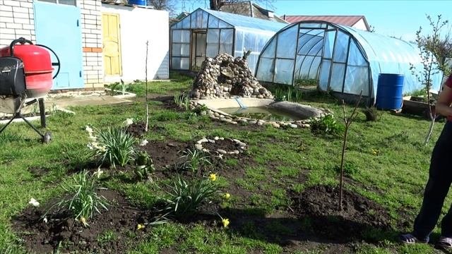Белореченск / Минута о нашей жизни на Кубани / сова и лягушки -садовые подружки