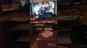 жмурки дюжев ищет номер телефона