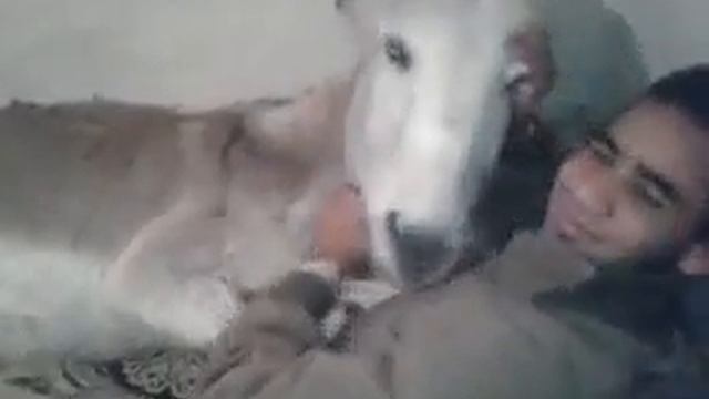 Ишки авал смотреть онлайн