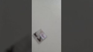 уборка в бумажных собак 😜🥰 Я вернулась ♥️