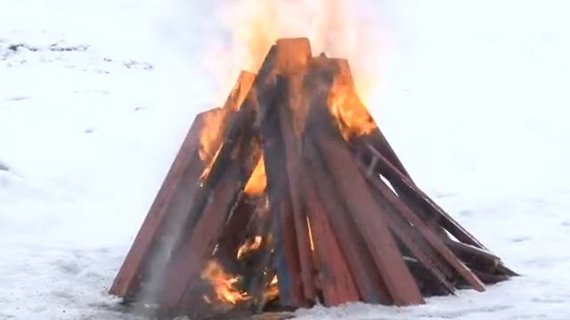 Смотр противопожарной техники в Звенигородском филиале «Мособллеса» смотреть онлайн